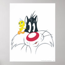 Tweety In Action Pose 12 Posters