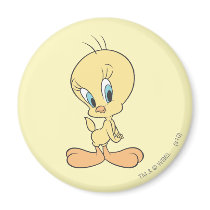 Tweety In The Clouds Pose 22 Refrigerator Magnets