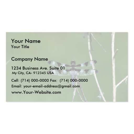 Twelve-Spot Skimmer Business Cards