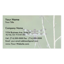 Twelve-Spot Skimmer Business Cards