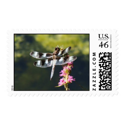 Twelve Spotted Skimmer Dragonfly Postage Stamp