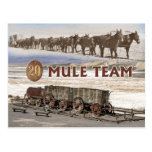Twenty-mule team wagons, Death Valley, California Postcard