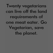 Twenty vegetarians can live off the land requir... t-shirts