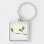 Twig and Leaf Keychains