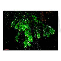 Twigs Reaching 4 U cards