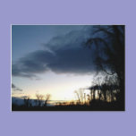 Twilight at the Tree in Winter II Postcard