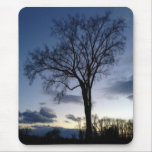 Twilight At The Tree In Winter mousepads