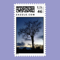 Twilight at the Tree in Winter Postage stamps