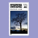 Twilight at the Tree in Winter Postage postage