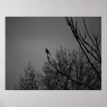 Twilight Bird Poster