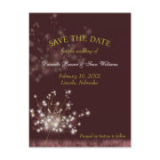 Twilight Dandelion Floral Save the Date Postcards