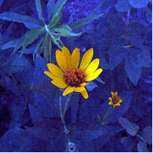 Twilight Dream Photo Cutout