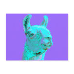 Twilight Llama, turqoise llama, llama head Post Card