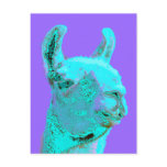 Twilight Llama, turqoise llama, llama head Post Card