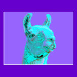 Twilight Llama, turqoise llama, llama head postcards