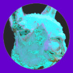Twilight Llama, turqoise llama, llama head stickers