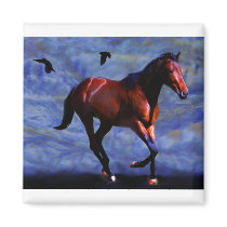 Twilight magnets by laureenr Twilight magnets