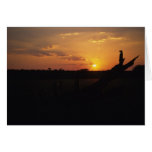 Twilight meerkats - KMP Card Series 1