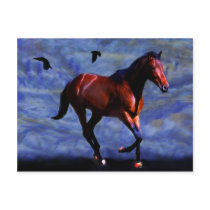 Twilight postcards