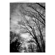 Twilight Sky Card