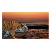 twilight tiger business cards