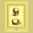 Twin Antique Skulls Post Cards