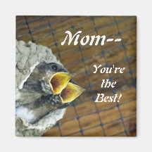 Twin Baby Birds Mom Magnet