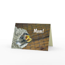 Twin Baby Birds Mother's Day Card