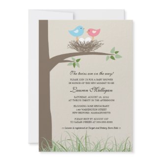 Twin Baby Bird's Nest Baby Shower Announcement