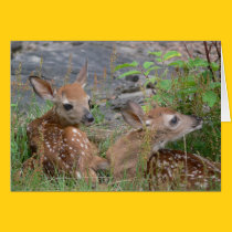 Twin Bambi Card cards