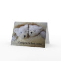 twin bears congratulations cards by littlemunchkins twin bears congratulations cards