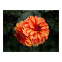 Twin Beauties posters by StarLily Twin Beauties posters
