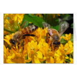Twin Bees ~ card