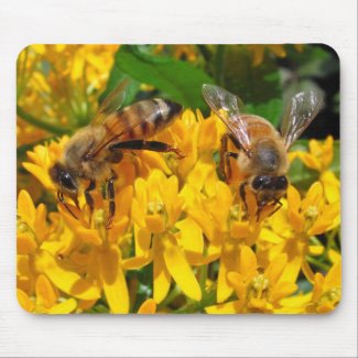 Twin Bees ~ mousepad