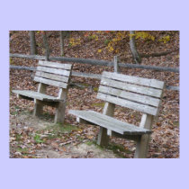 Twin Benches posters