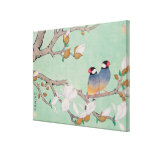Twin Birds in the Branches Cancas canvas prints