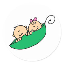 Twin Boy and Girl in Pea Pod stickers