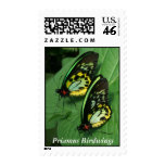 Twin Butterflies Stamps