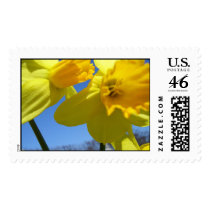 twin daffodils postage by ELF1020 twin daffodils postage