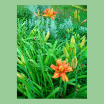 Twin Daylilies and Artemesia posters