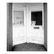 Twin Doors posters