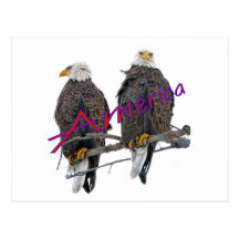 Twin Eagles America Post Card