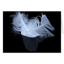 Twin flame feathers and reflection greeting cards