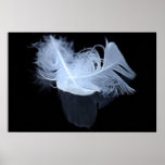 Twin flame feathers and reflection print