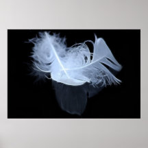 Twin flame feathers and reflection print