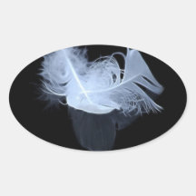 Twin flame feathers and reflection stickers