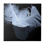 Twin flame feathers and reflection tile