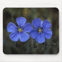 Twin Flowers mousepads by renee869hello Twin Flowers mousepads