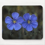 Twin Flowers mousepads