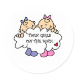Twin Girls on the  Way Sticker